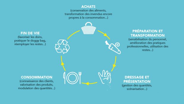 + Illustration du cycle de vie des aliments : - Achats (ex. conservation des aliments, transformation des invendus encore propres à la consommation...), - Préparation et transformation (ex. sensibilisation du personnel, amélioration des pratiques professionnelles, utilisation des restes...), - Dressage et présentation (ex. gestion des quantités, scénarisation...), - Consommation (ex. connaissance des clients, valorisation des produits, modulation des quantités...), - Fin de vie (ex. favoriser les dons, la pratique du doggy bag, le réemploi des restes...).