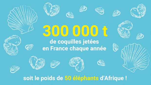 300 000 tonnes de coquilles sont jetées en France chaque année